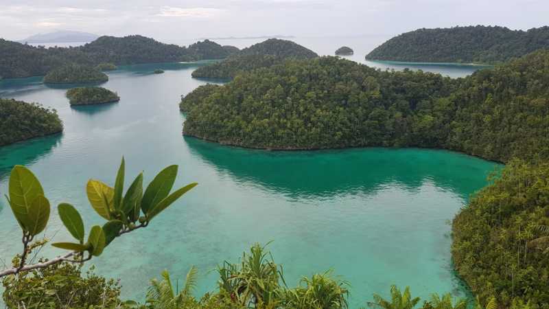 К Королям? К четырем Королям! – дайвинг в Раджа-Ампат (Raja-Ampat) ноябрь 2024 К Королям? К четырем Королям! – дайвинг в Раджа-Ампат (Raja-Ampat) ноябрь 2024