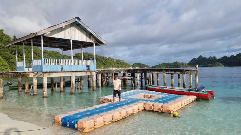 К Королям? К четырем Королям! – дайвинг в Раджа-Ампат (Raja-Ampat) ноябрь 2024 К Королям? К четырем Королям! – дайвинг в Раджа-Ампат (Raja-Ampat) ноябрь 2024