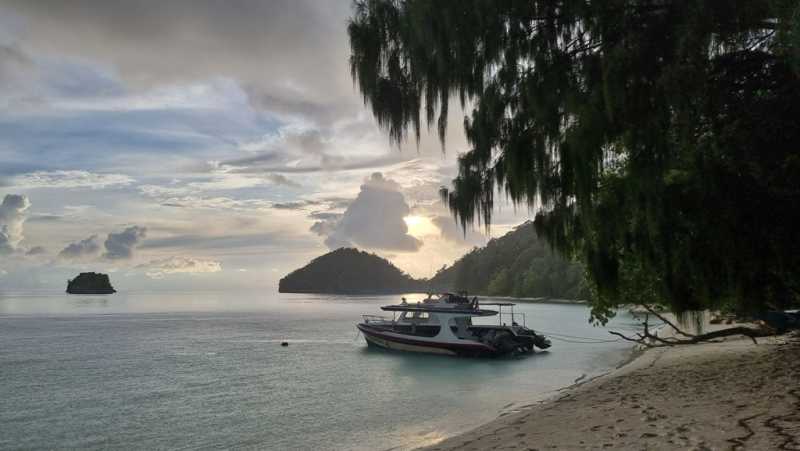 К Королям? К четырем Королям! – дайвинг в Раджа-Ампат (Raja-Ampat) ноябрь 2024 К Королям? К четырем Королям! – дайвинг в Раджа-Ампат (Raja-Ampat) ноябрь 2024