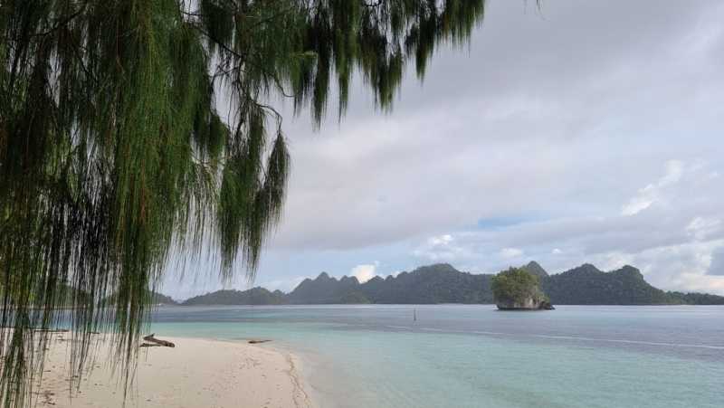 К Королям? К четырем Королям! – дайвинг в Раджа-Ампат (Raja-Ampat) ноябрь 2024 К Королям? К четырем Королям! – дайвинг в Раджа-Ампат (Raja-Ampat) ноябрь 2024