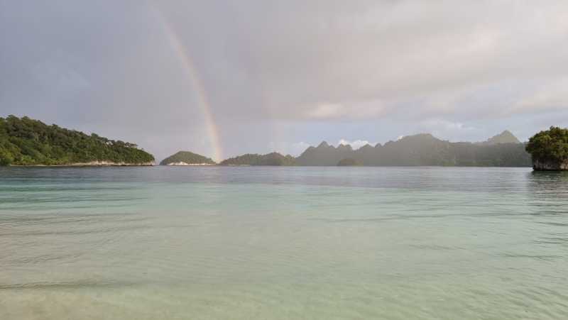 К Королям? К четырем Королям! – дайвинг в Раджа-Ампат (Raja-Ampat) ноябрь 2024 К Королям? К четырем Королям! – дайвинг в Раджа-Ампат (Raja-Ampat) ноябрь 2024