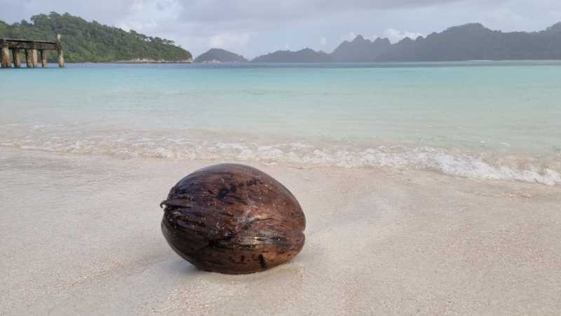 К Королям? К четырем Королям! – дайвинг в Раджа-Ампат (Raja-Ampat) ноябрь 2024 К Королям? К четырем Королям! – дайвинг в Раджа-Ампат (Raja-Ampat) ноябрь 2024
