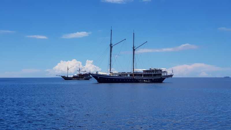 К Королям? К четырем Королям! – дайвинг в Раджа-Ампат (Raja-Ampat) ноябрь 2024 К Королям? К четырем Королям! – дайвинг в Раджа-Ампат (Raja-Ampat) ноябрь 2024