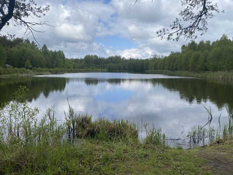 Беларусь – заповедники, пущи, нацпарки, замки. И чуть-чуть по городам. На машине из Питера.