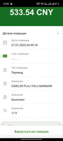 Проблемы с картами UnionPay в Турции: опыт пользователей 2025 года