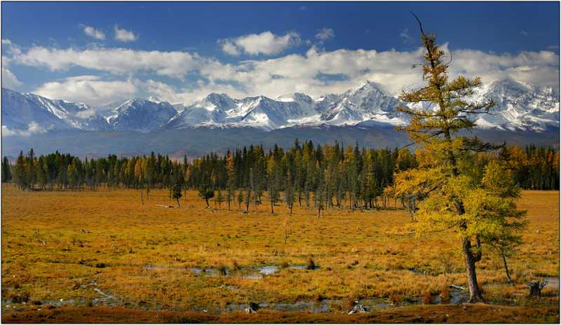 Алтай. По Чуйскому тракту и не только. Июнь 2025