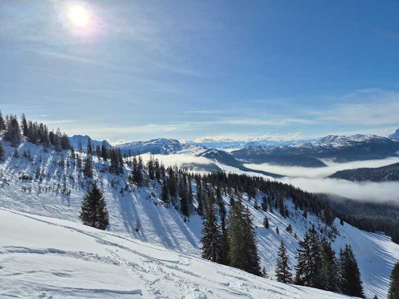 Альпийский дневник 2025