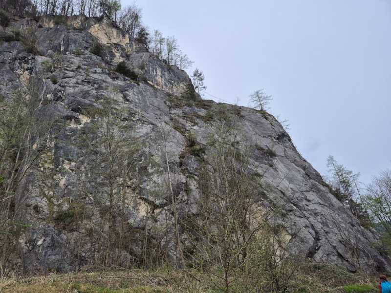 Альпийский дневник 2025 Альпийский дневник 2025