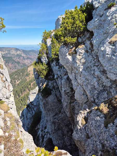 Альпийский дневник 2025 Альпийский дневник 2025