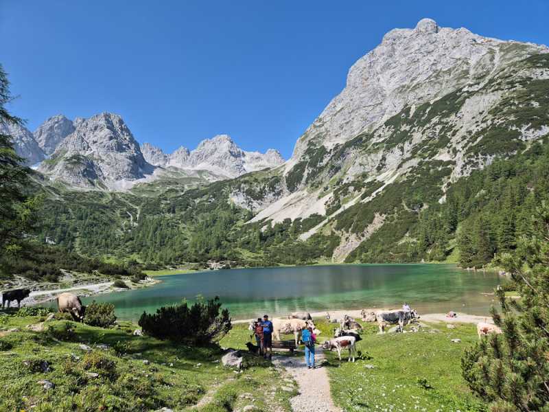 Альпийский дневник 2025