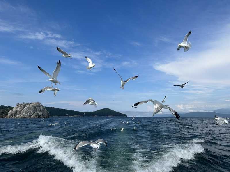 Путешествие в Монголию и на Байкал: июль-август 2024 г.