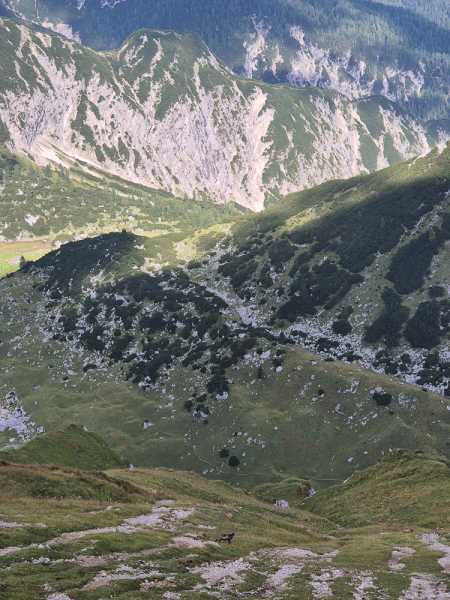 Альпийский дневник 2025