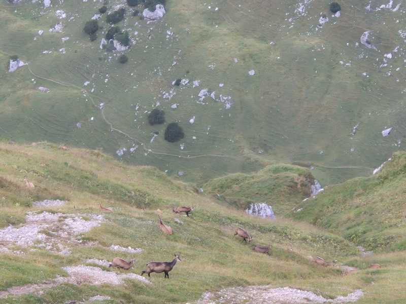 Альпийский дневник 2025