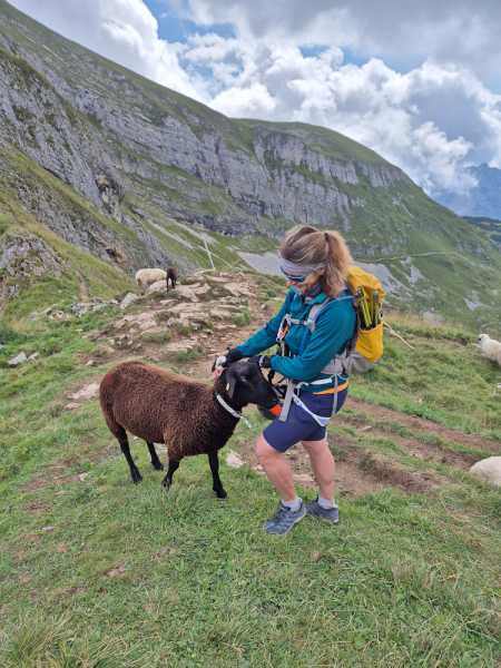 Альпийский дневник 2025