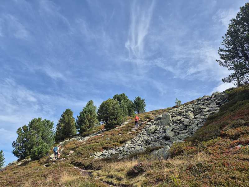 Альпийский дневник 2025