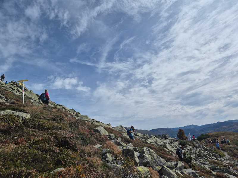 Альпийский дневник 2025