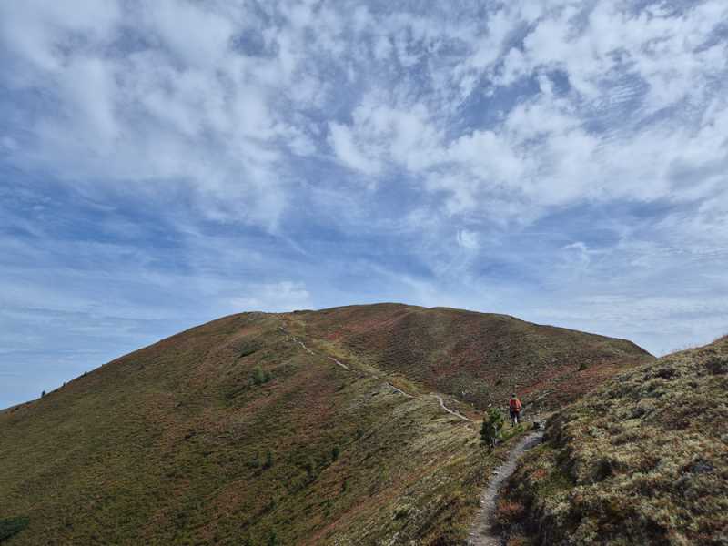 Альпийский дневник 2025
