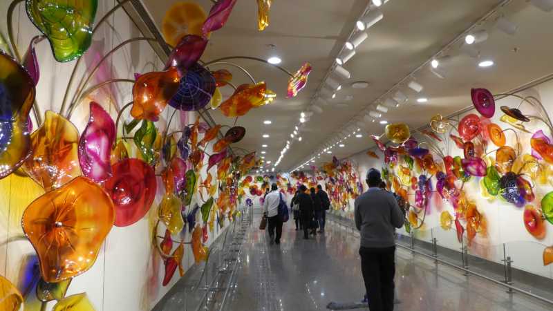 Индия с Kumbh Mela, 2024-2025