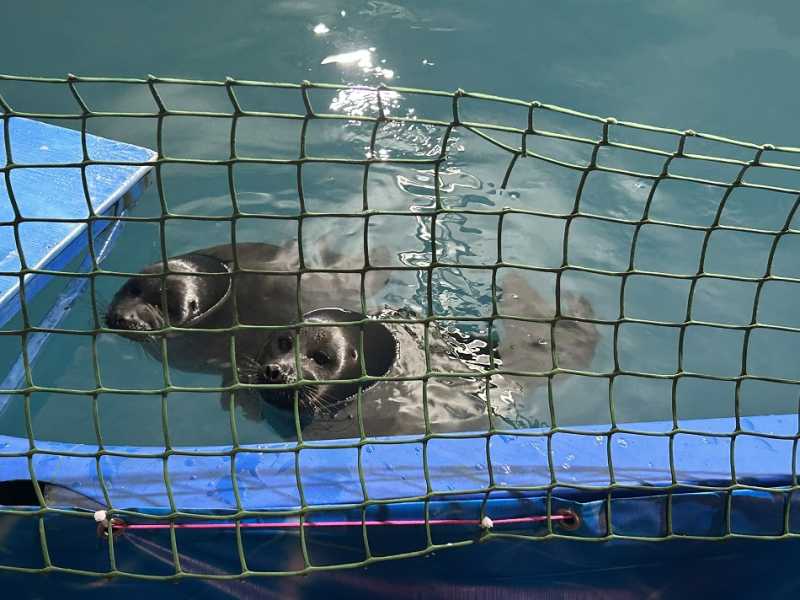 Путешествие в Монголию и на Байкал: июль-август 2024 г.