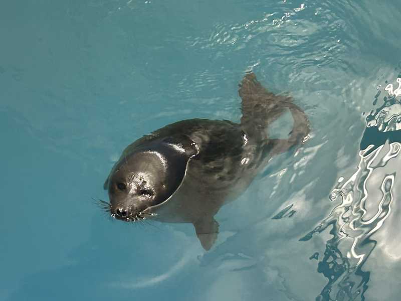 Путешествие в Монголию и на Байкал: июль-август 2024 г.