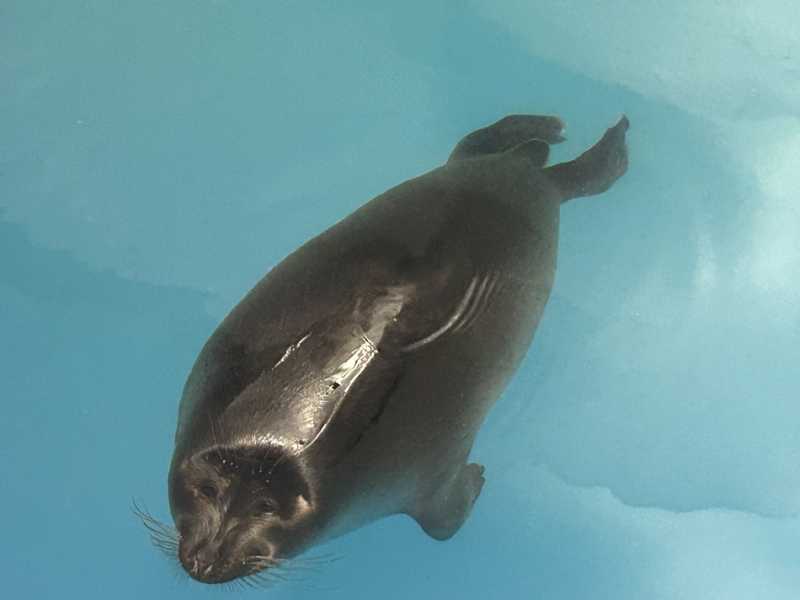 Путешествие в Монголию и на Байкал: июль-август 2024 г.