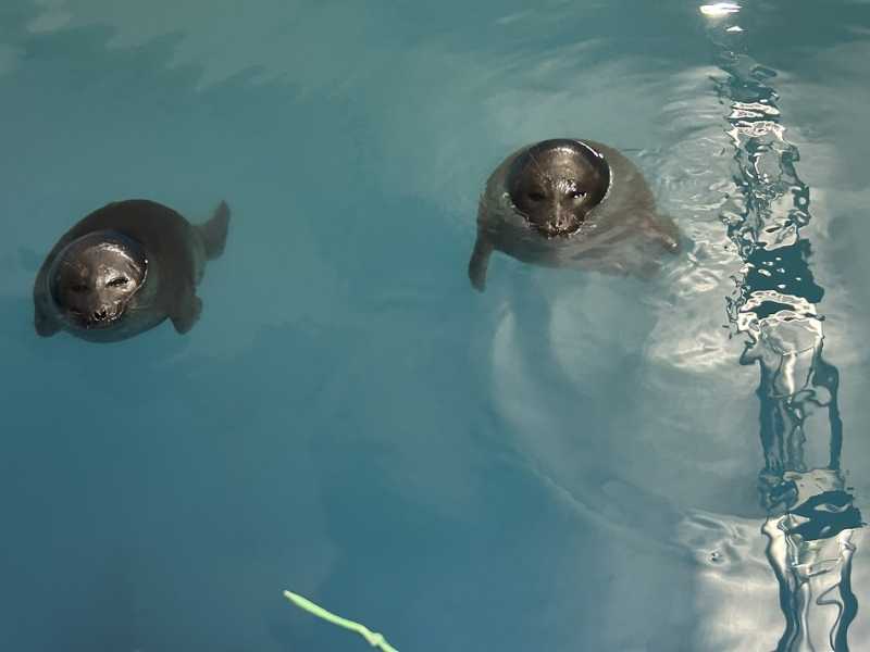 Путешествие в Монголию и на Байкал: июль-август 2024 г.