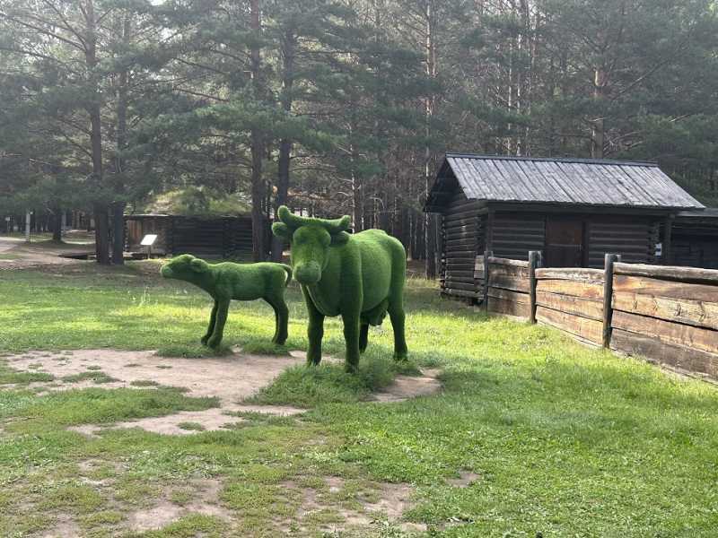 Путешествие в Монголию и на Байкал: июль-август 2024 г.