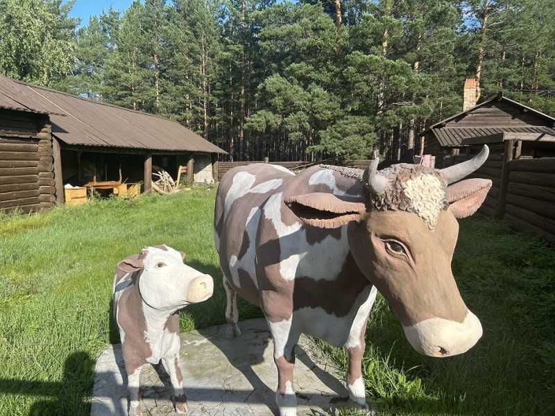 Путешествие в Монголию и на Байкал: июль-август 2024 г.