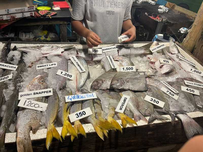 Ко Куд 17/18/19/20/пандемия/22/23/24/25/26 - по протоптанным тропам. 39 + 33 + 31 + 35 + 34 + 58 + 71 восходов и закатов.