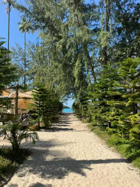 Ко Куд 17/18/19/20/пандемия/22/23/24/25/26 - по протоптанным тропам. 39 + 33 + 31 + 35 + 34 + 58 + 71 восходов и закатов.