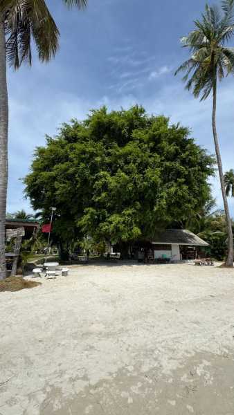 Ко Куд 17/18/19/20/пандемия/22/23/24/25/26 - по протоптанным тропам. 39 + 33 + 31 + 35 + 34 + 58 + 71 восходов и закатов.