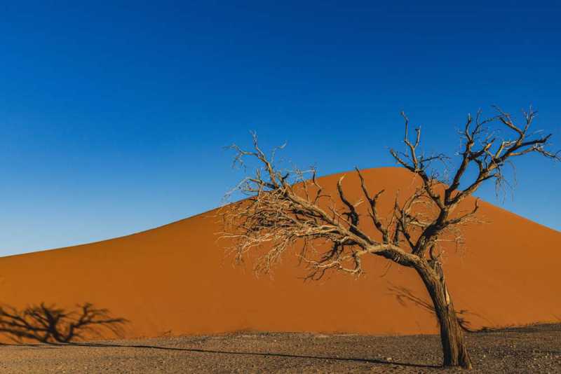 7000 км на авто  по Южной Африке.  Йоханнесбург – Ботсвана – Зимбабве - Намибия – Йоханнесбург, август-2025