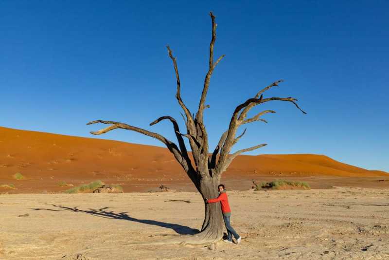 7000 км на авто  по Южной Африке.  Йоханнесбург – Ботсвана – Зимбабве - Намибия – Йоханнесбург, август-2025