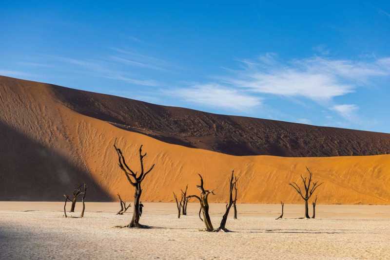 7000 км на авто  по Южной Африке.  Йоханнесбург – Ботсвана – Зимбабве - Намибия – Йоханнесбург, август-2025