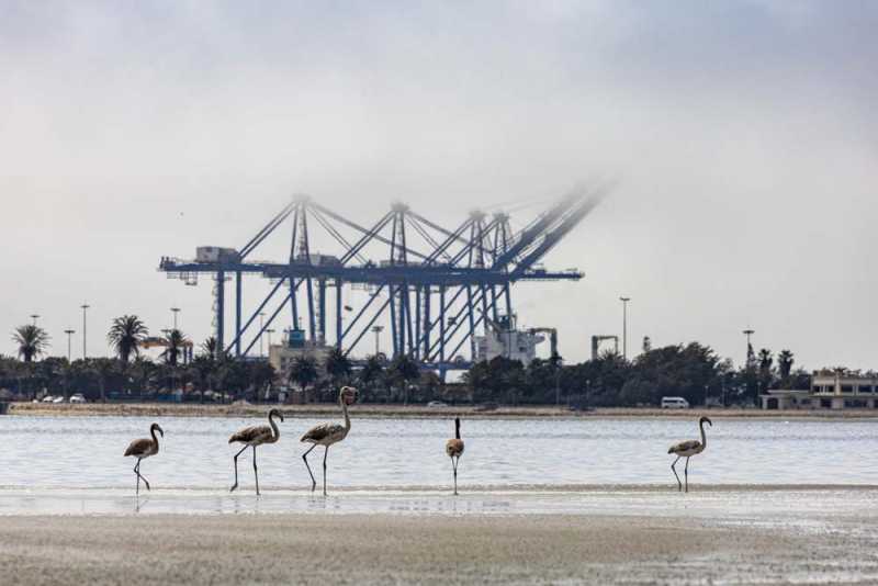 7000 км на авто  по Южной Африке.  Йоханнесбург – Ботсвана – Зимбабве - Намибия – Йоханнесбург, август-2025