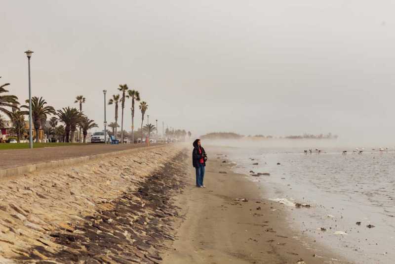 7000 км на авто  по Южной Африке.  Йоханнесбург – Ботсвана – Зимбабве - Намибия – Йоханнесбург, август-2025