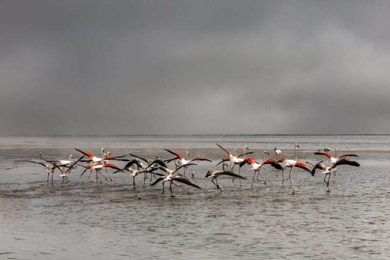 7000 км на авто  по Южной Африке.  Йоханнесбург – Ботсвана – Зимбабве - Намибия – Йоханнесбург, август-2025