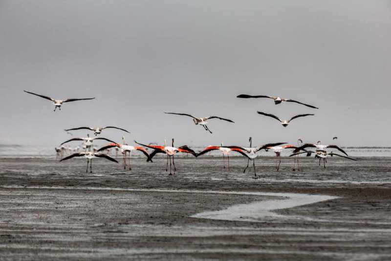 7000 км на авто  по Южной Африке.  Йоханнесбург – Ботсвана – Зимбабве - Намибия – Йоханнесбург, август-2025