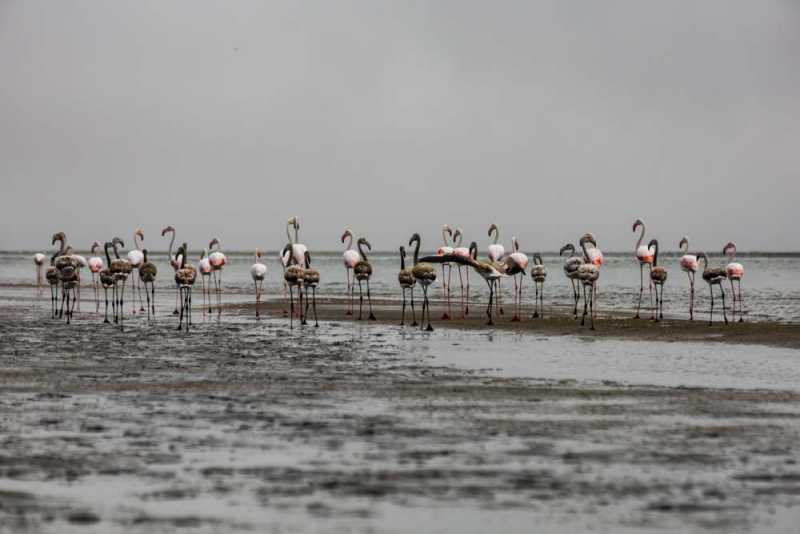 7000 км на авто  по Южной Африке.  Йоханнесбург – Ботсвана – Зимбабве - Намибия – Йоханнесбург, август-2025