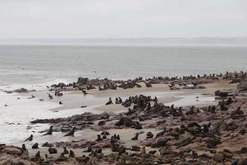 7000 км на авто  по Южной Африке.  Йоханнесбург – Ботсвана – Зимбабве - Намибия – Йоханнесбург, август-2025