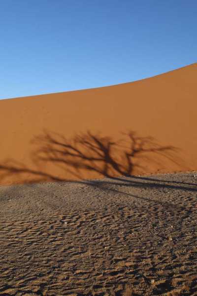 7000 км на авто  по Южной Африке.  Йоханнесбург – Ботсвана – Зимбабве - Намибия – Йоханнесбург, август-2025