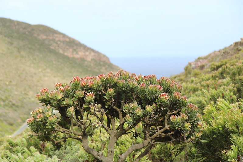 Южно-африканские приключения часть 2 20000 км (Намибия, Ботсвана, Замбия, Малави, Мозамбик) октябрь-декабрь 2025