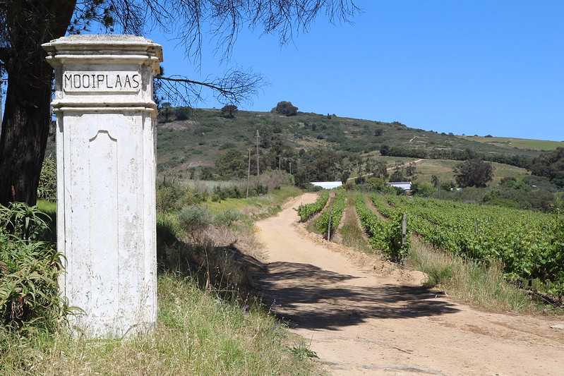 Южно-африканские приключения часть 2 20000 км (Намибия, Ботсвана, Замбия, Малави, Мозамбик) октябрь-декабрь 2025