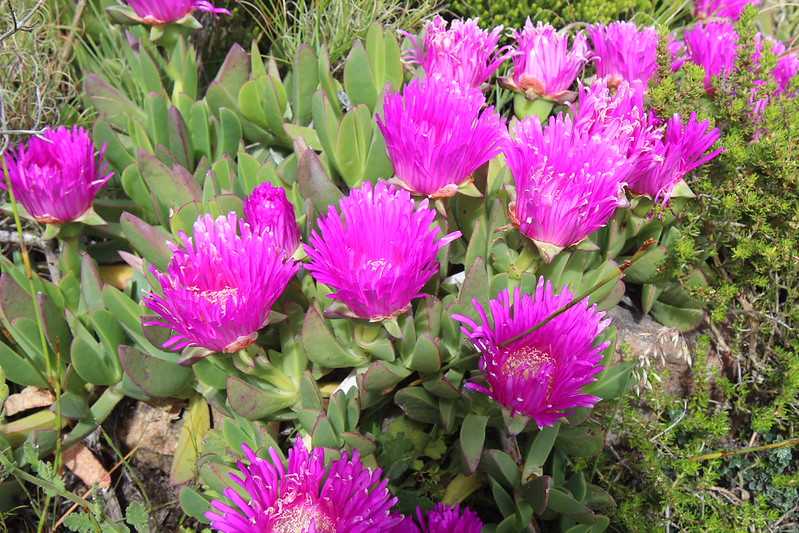 Южно-африканские приключения часть 2 20000 км (Намибия, Ботсвана, Замбия, Малави, Мозамбик) октябрь-декабрь 2025