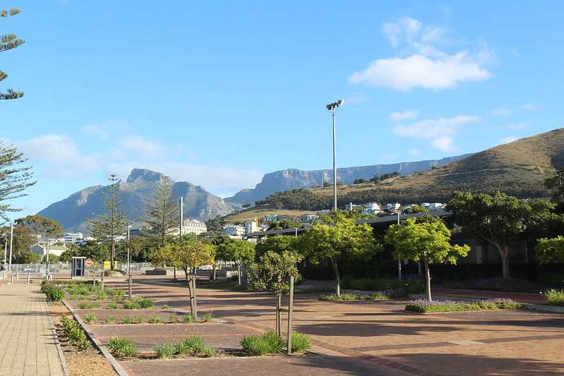 Южно-африканские приключения часть 2 20000 км (Намибия, Ботсвана, Замбия, Малави, Мозамбик) октябрь-декабрь 2025