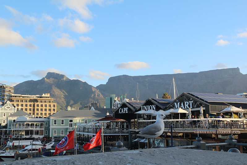 Южно-африканские приключения часть 2 20000 км (Намибия, Ботсвана, Замбия, Малави, Мозамбик) октябрь-декабрь 2025