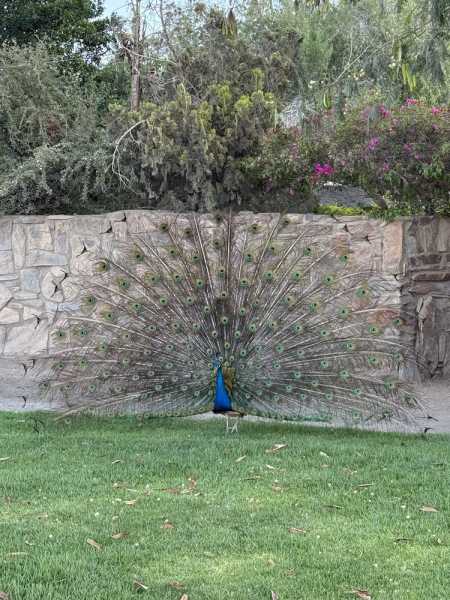 Южно-африканские приключения часть 2 20000 км (Намибия, Ботсвана, Замбия, Малави, Мозамбик) октябрь-декабрь 2025