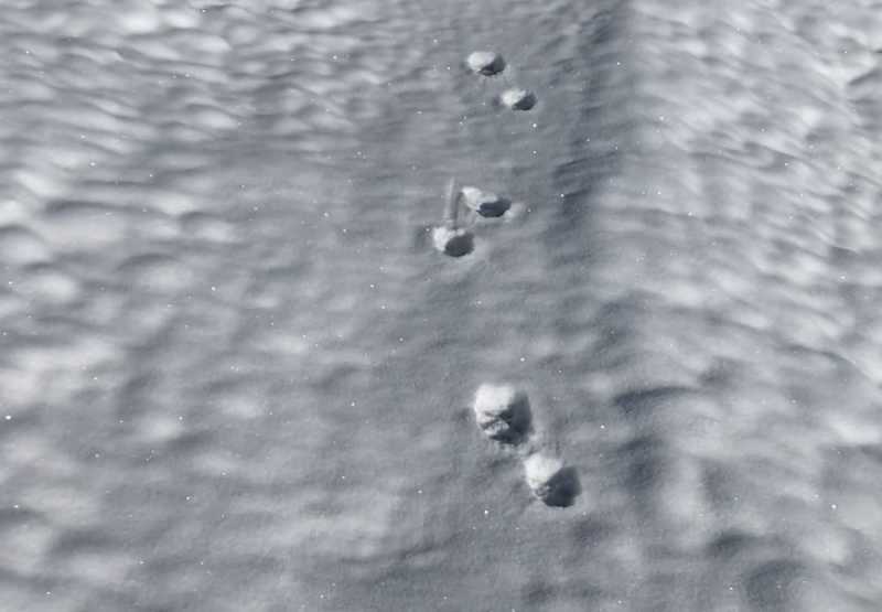 Одна за фото в Gokyo под внезапным циклоном. Впервые на высоте. Октябрь-Ноябрь 2025