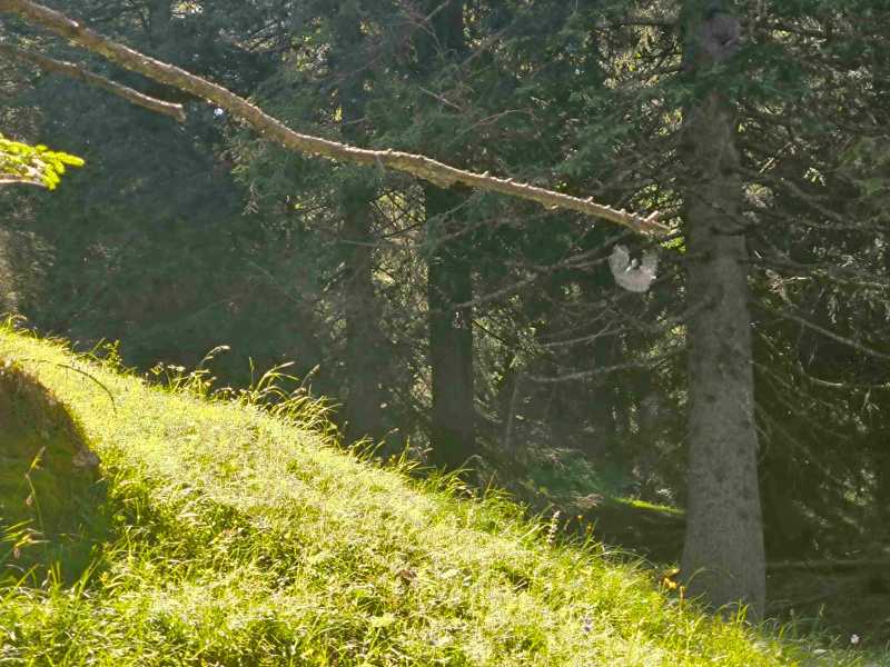 Триста горных километров и три оперы