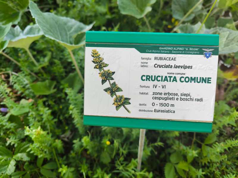 Триста горных километров и три оперы